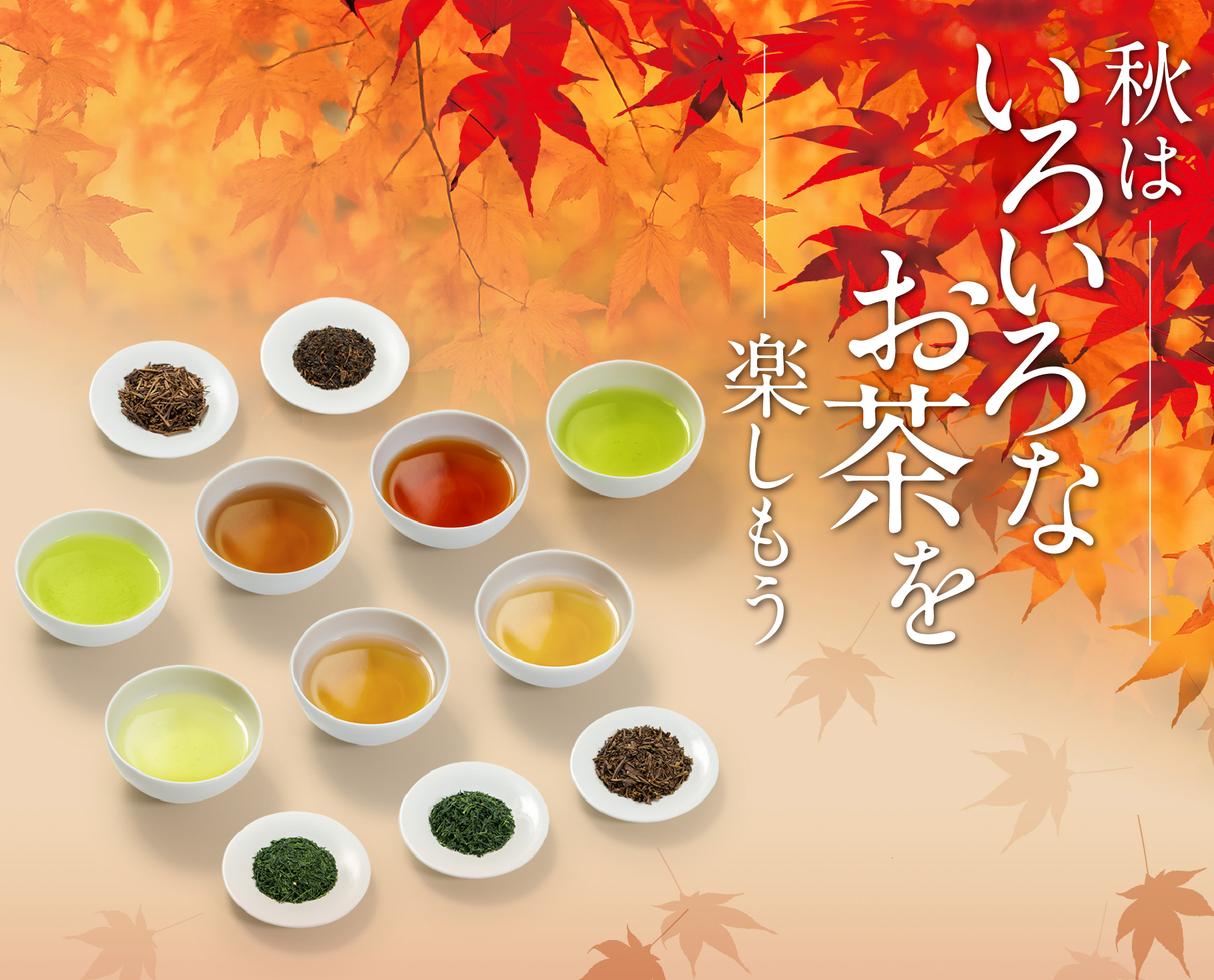 秋のお茶: 商品・かいもの | 宇治茶 福寿園 京都・山城