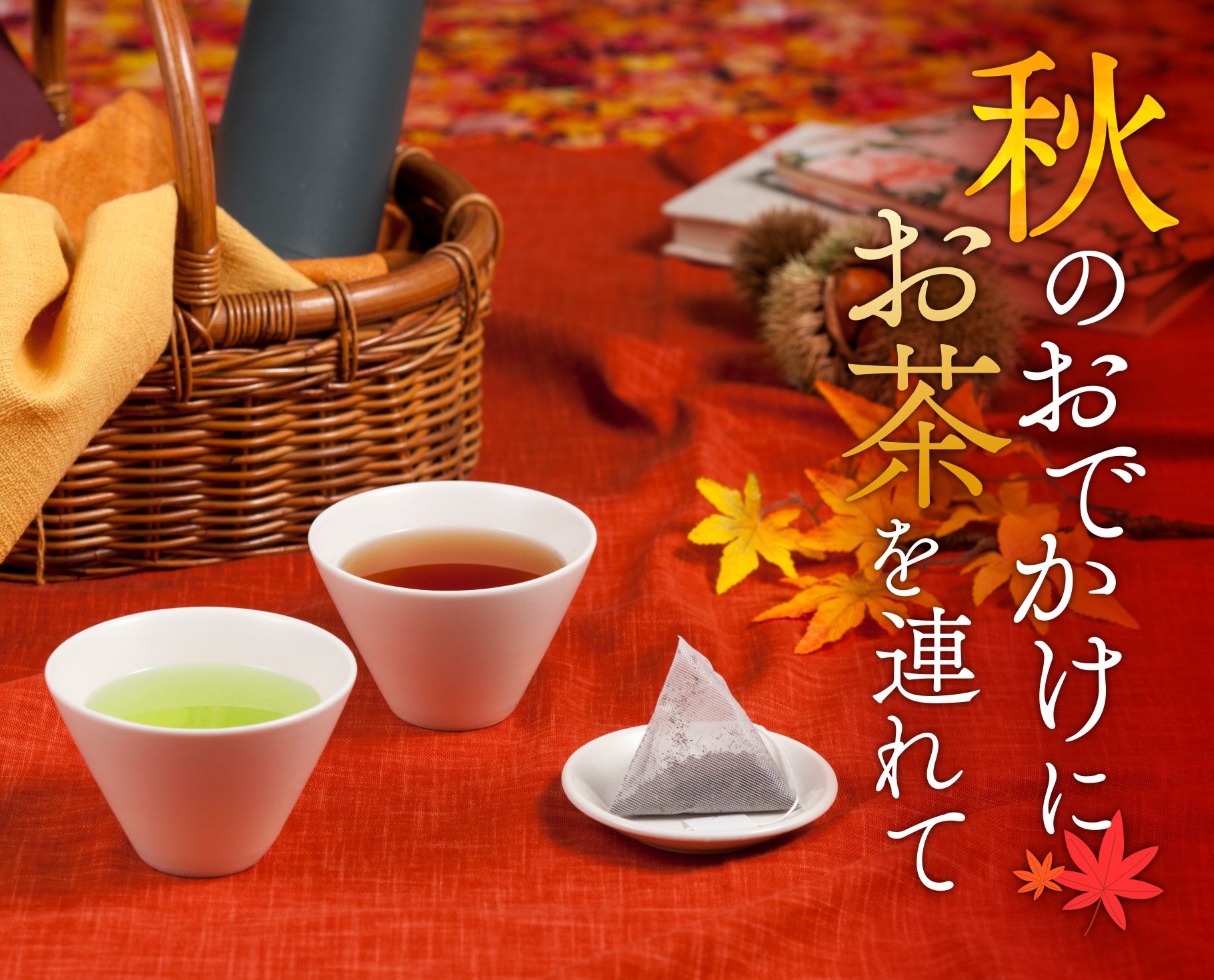 秋のおでかけ