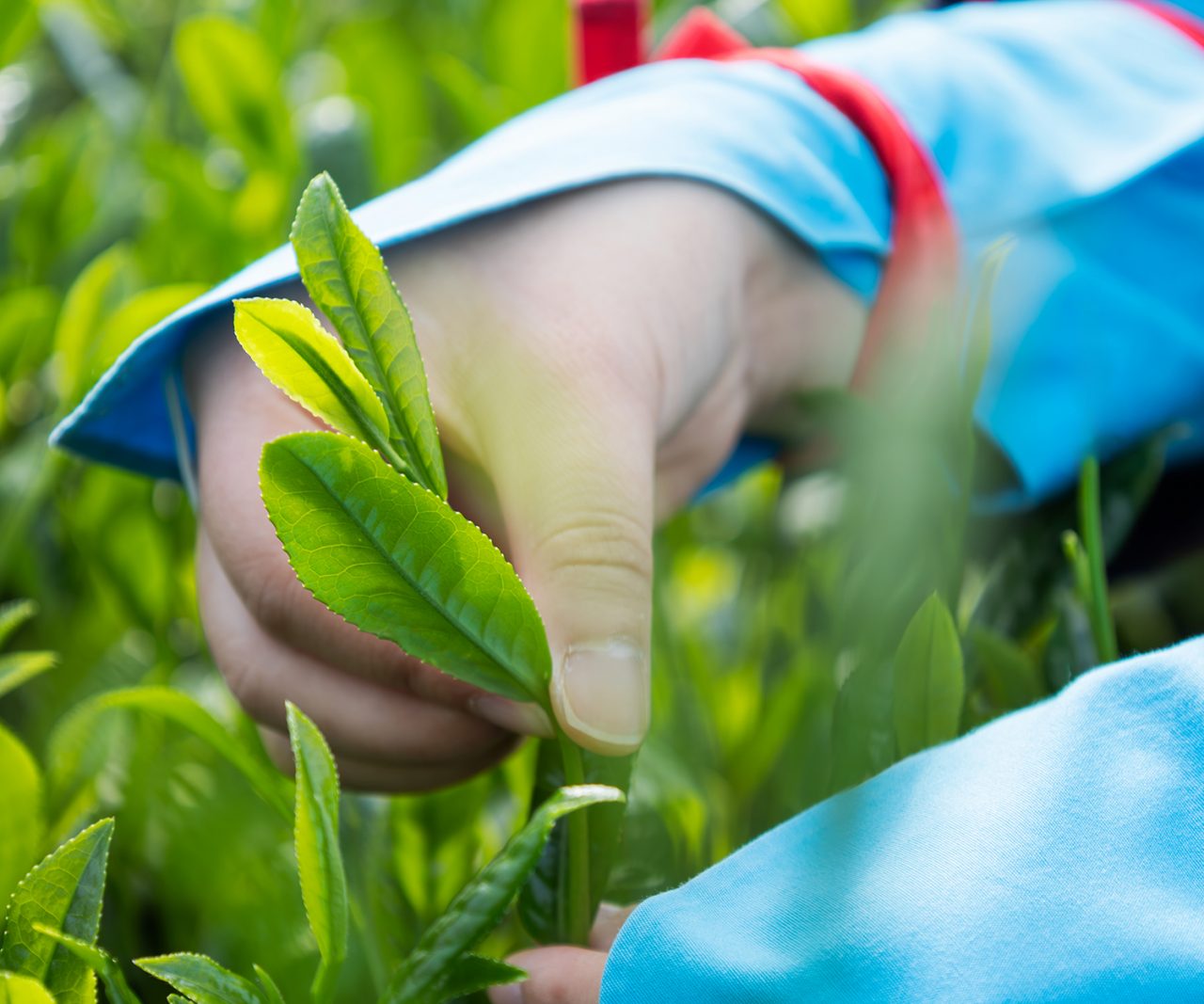 水に溶ける成分30%、水に溶けない成分70%