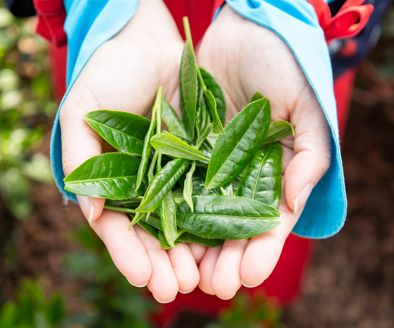 水に溶ける成分30%、水に溶けない成分70%