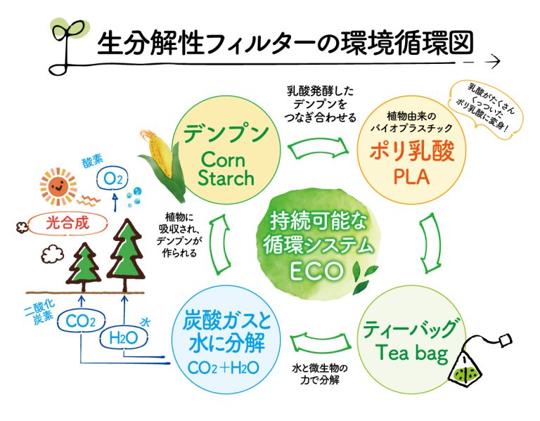 生分解性フィルター 